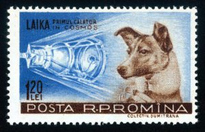 Russian postage stamp commemorating Laika, the first animal to go into orbit. Laika was launched on 3rd November 1957.