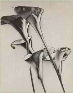 Man Ray (Emmanuel Radnitzky), Senza titolo,1930 Museum of Modern Art (MoMA) - New York USA