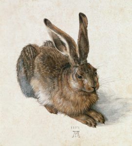 Albrecht Durer, Lepre. Graphische Sammlung Albertina – Vienna Austria