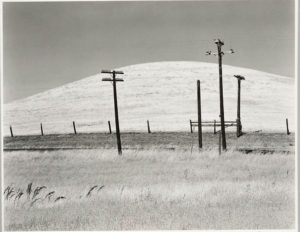 Edward Weston, Hills and Poles, Solano County 1937 - CC00105