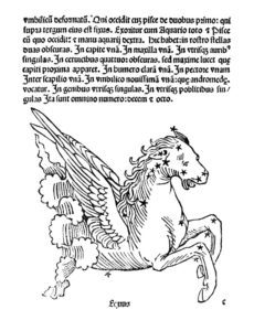 Equus constellation, 15th century artwork.