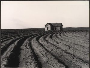 Dorothea Lange, Terra lavorata con il trattore, Childress County, Texas, 1938 - 0120983