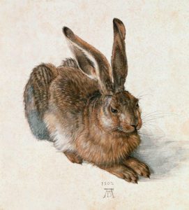 Albrecht Duerer, Hase-(Hare). Graphische Sammlung Albertina