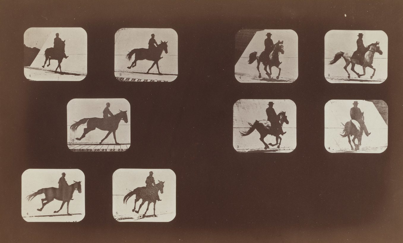 Карта мейбридж клондайк. Eadweard Muybridge коллекция фотографий. Homage to Eadweard Muybridge (1994). Eadweard.