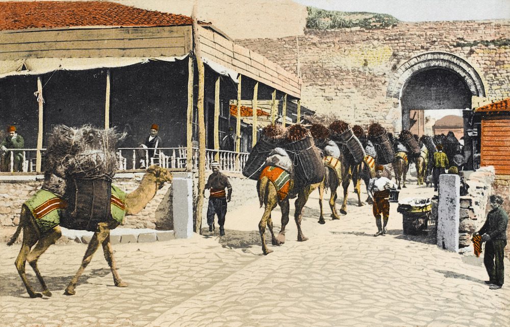 Camel caravan passing through Constantinople. Vintage postcard. Private collection. 