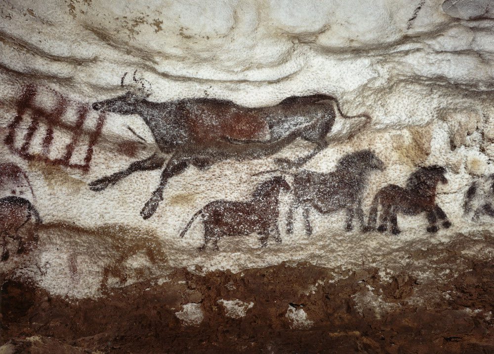 RM08223 - Grotte di Lascaux: diverticolo assiale, parete destra. Fotografia dell'Institut National Géographique nella grotta di Lascaux nel 1966 dopo la sua chiusura al pubblico.  