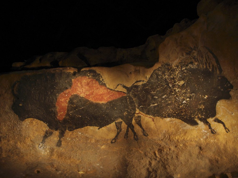 SP05639 - Opera d'arte di un bisonte dipinto sulla parete di una grotta. 