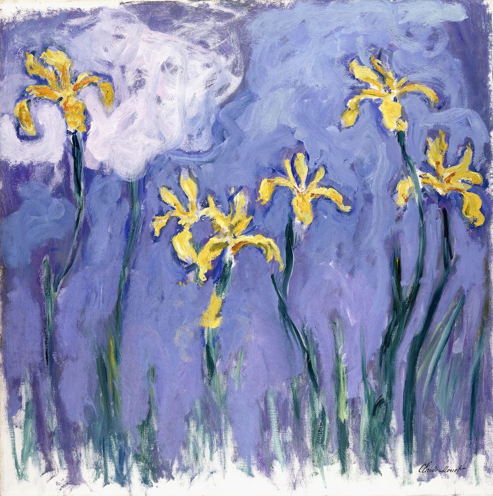 PC16836 – Claude Monet, Iris Jaunes au Nuage Rose. c.1918. Collezione Privata  